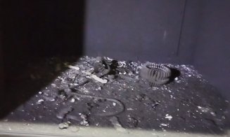 Două comune din Cluj au rămas fără curent electric din cauza unei avarii. Echipele DEER au intervenit de urgență