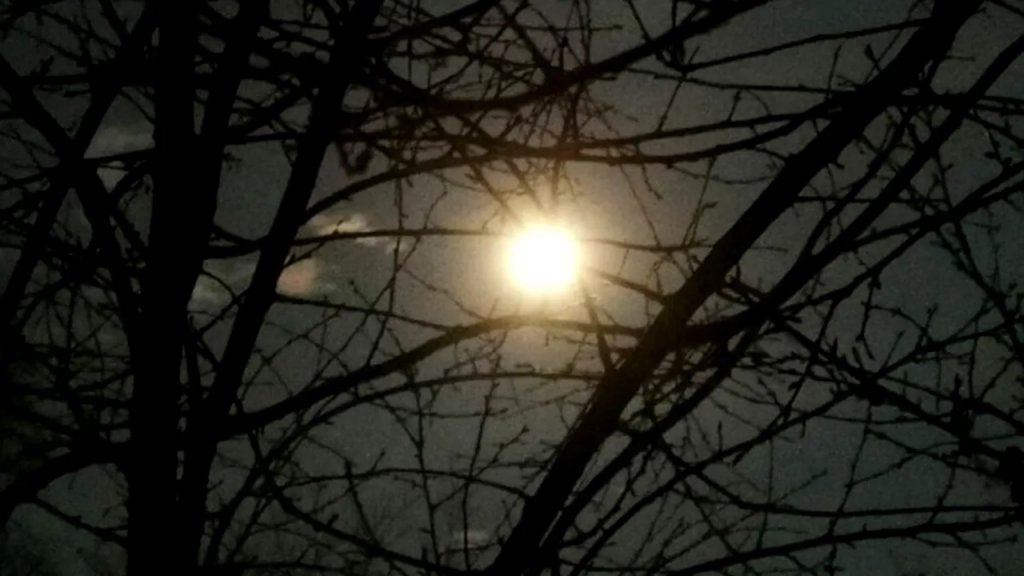 Luna Lupului și credințele iernii. Când se vede prima superlună din 2026?