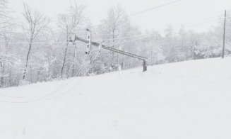 Electrica: 19 localități din județul Cluj, fără curent din cauza ninsorilor. Peste 800 de utilizatori afectați