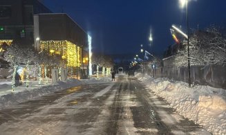 Cum s-a intervenit împotriva zăpezii la Florești. Apelul primarului Pivariu pentru cetățeni