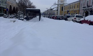 Un deputat clujean critică deszăpezirea din oraș: „După declarații, zăpada a fost strânsă. După poze, se vede clar cât”