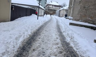 Un deputat clujean critică deszăpezirea din oraș: „După declarații, zăpada a fost strânsă. După poze, se vede clar cât”
