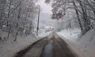 Cum se circulă pe drumurile județene din Cluj. Numărul unde se pot face sesizări