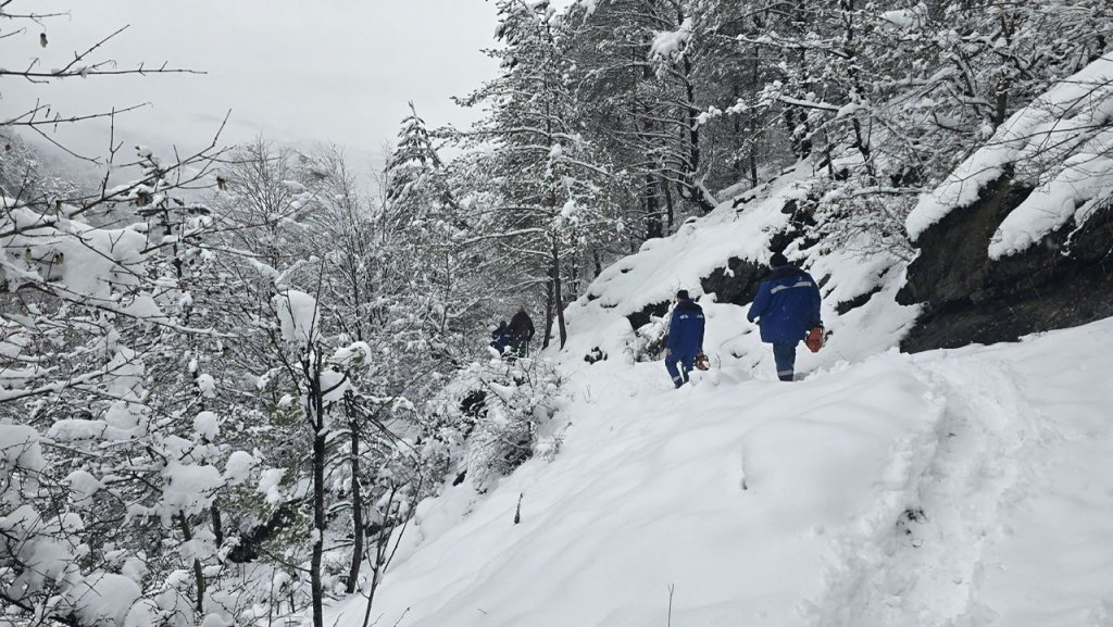 Criza energetică din Munții Apuseni, soluționată: DEER a refăcut rețeaua afectată de ninsori și viscol