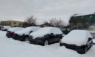 Boc, întrebare "de 5 stele" pentru clujeni: "Oare care o fi explicația?"