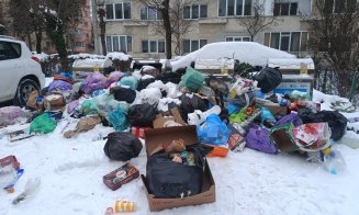 De când cu zăpada, Supercom a înghețat ridicarea gunoaielor?