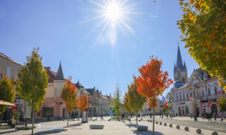 Reguli pentru aprovizionarea comercianților din centrul municipiului Turda: Restricții de tonaj și intervale orare