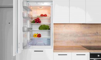 Cum alegi aparatul potrivit atunci când ai nevoie de mai mult spațiu de depozitare la rece