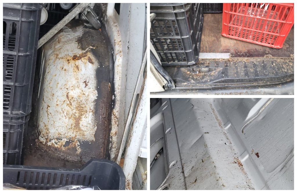 Ce ajunge pe mesele clujenilor: Transporturi de alimente descoperite în condiții revoltătoare