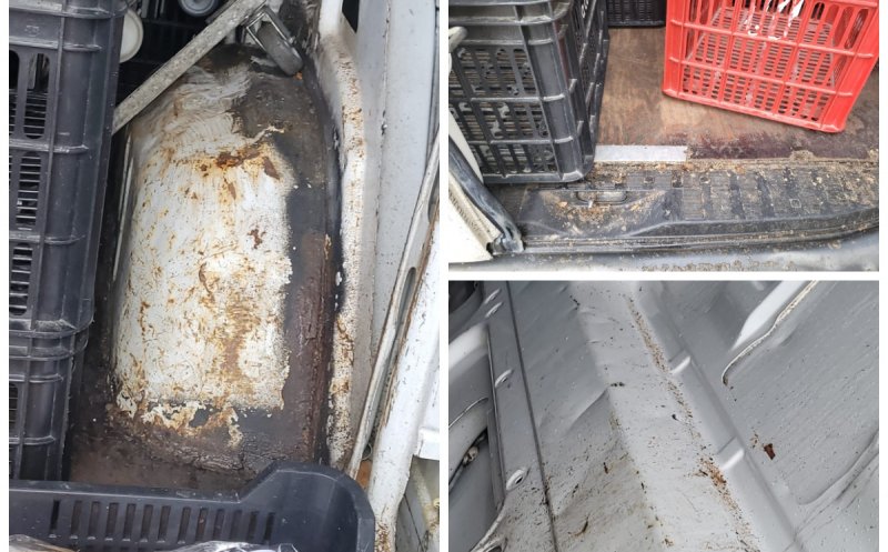 Ce ajunge pe mesele clujenilor: Transporturi de alimente descoperite în condiții revoltătoare