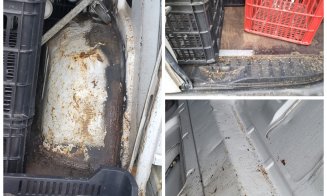 Ce ajunge pe mesele clujenilor: Transporturi de alimente descoperite în condiții revoltătoare