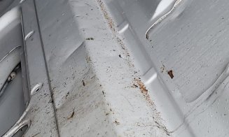 Ce ajunge pe mesele clujenilor: Transporturi de alimente descoperite în condiții revoltătoare