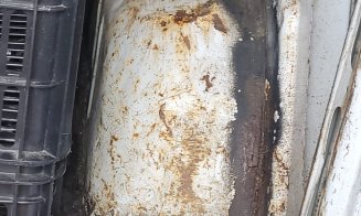 Ce ajunge pe mesele clujenilor: Transporturi de alimente descoperite în condiții revoltătoare