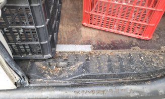 Ce ajunge pe mesele clujenilor: Transporturi de alimente descoperite în condiții revoltătoare