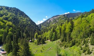 Oficial! Locuitorii dintr-o zonă pitorească a Clujului vor avea taxe reduse la jumătate