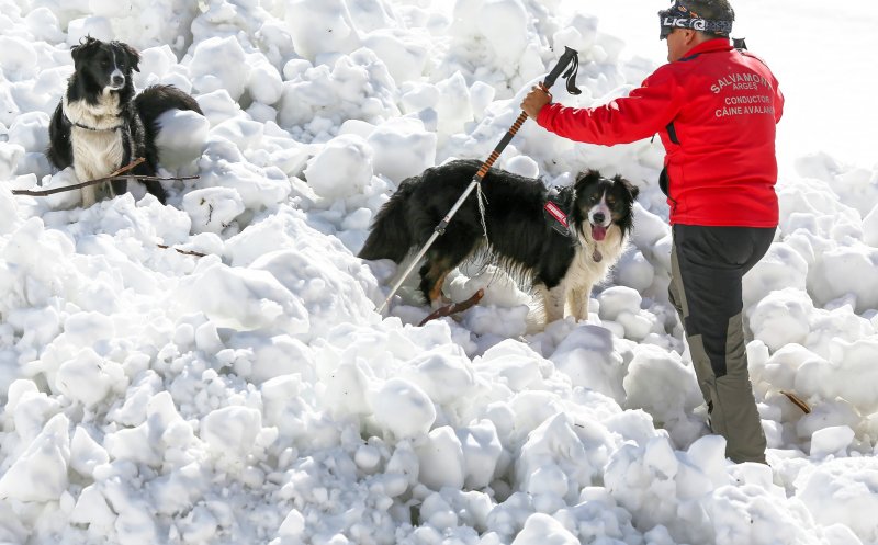 Zi de foc pentru salvamontiști pe munte: Zeci de apeluri de urgență / Câte intervenții au fost la Cluj