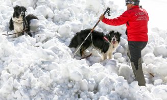 Zi de foc pentru salvamontiști pe munte: Zeci de apeluri de urgență / Câte intervenții au fost la Cluj