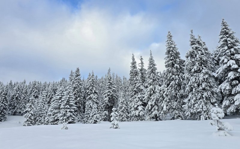 Imagini care îți taie respirația: Zona de munte a Clujului iarna. Peisaje de poveste