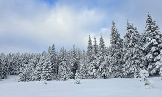 Imagini care îți taie respirația: Zona de munte a Clujului iarna. Peisaje de poveste
