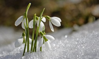 Vremea se încălzește în toată țara