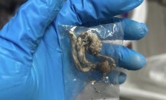 Doi bărbați și o femeie, reținuți pentru trafic de droguri în Cluj. Stupefiantele erau vândute în principal elevilor