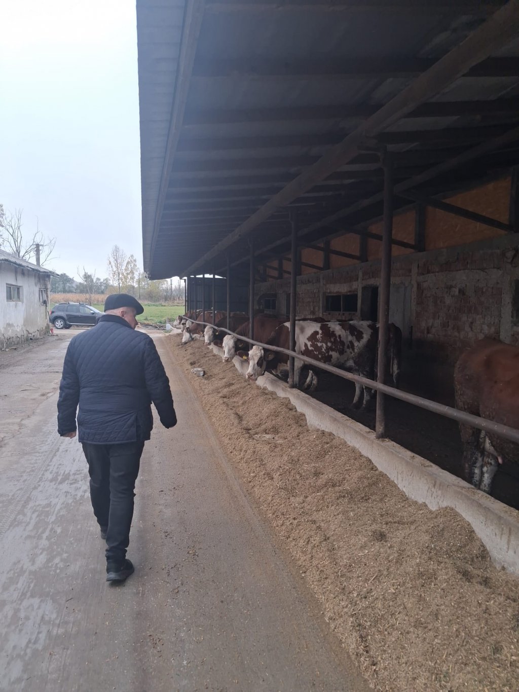 Criza laptelui este iminentă. Avertisment transmis de europarlamentarul clujean Daniel Buda