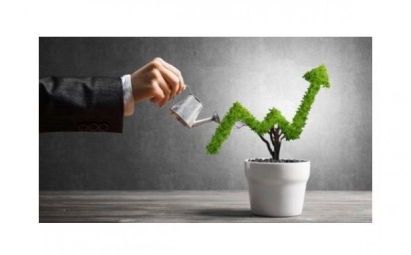 Cum reduc instrumentele digitale costurile și cresc profiturile în 2026