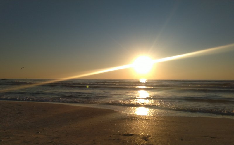 Resturi de dronă, descoperite pe plajă lângă Costinești. Incidentul vine la doar trei zile după un caz similar în Mamaia