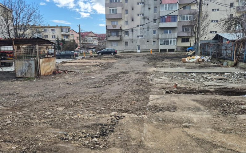 Primărița din Apahida continuă curățenia. Noi garaje au fost demolate