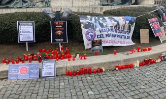 Protest animale Cluj-Napoca 22 februarie 2026