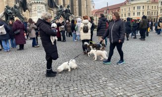 Protest animale Cluj-Napoca 22 februarie 2026