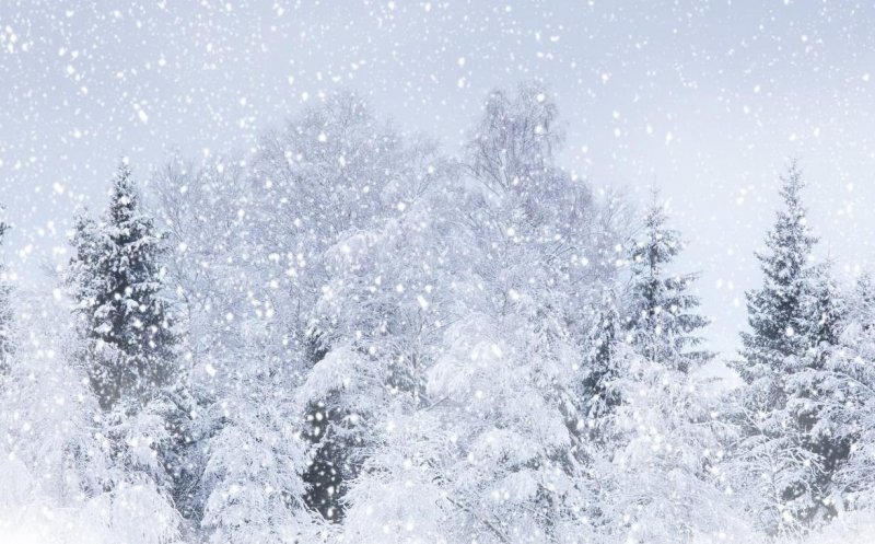 Ninsorile revin în Cluj: Cod galben de viscol și vânt puternic. Până când e valabilă avertizarea