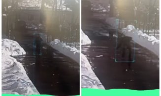 Tragedie surprinsă de o cameră de supraveghere: un jandarm moare subit în timpul serviciului. Sindicaliștii acuză stresul și programul epuizant