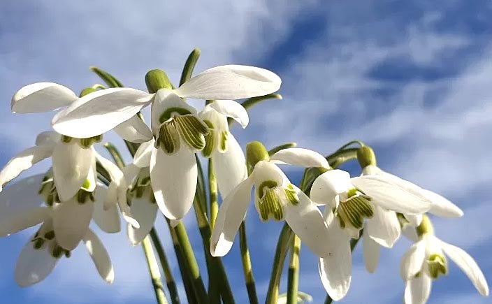 Vine primăvara! Vremea se încălzește anunță ANM