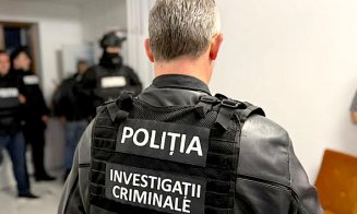 Înșelăciune și fals informatic în formă continuată / Infractor reținut de polițiștii clujeni