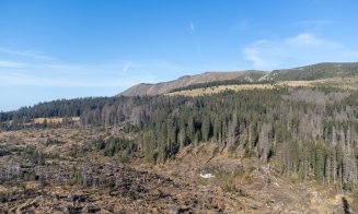 Remus Lăpușan: „Protejarea pădurilor din ariile naturale necesită intervenții rapide și soluții responsabile”