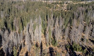 Remus Lăpușan: „Protejarea pădurilor din ariile naturale necesită intervenții rapide și soluții responsabile”