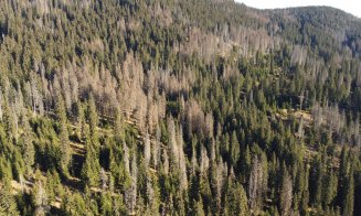 Remus Lăpușan: „Protejarea pădurilor din ariile naturale necesită intervenții rapide și soluții responsabile”