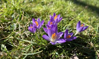 Grădina Botanică din Cluj-Napoca și-a modificat programul