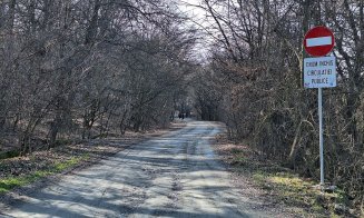 Petiție către autoritățile din Cluj pentru pădurea Hoia-Baciu, arie naturală protejată / S-au anulat autorizații de construire sub pădure