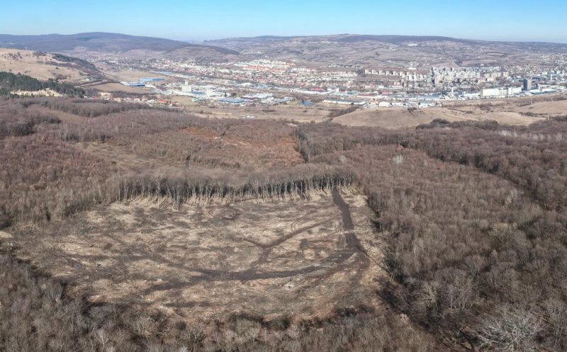 Petiție către autoritățile din Cluj pentru pădurea Hoia-Baciu, arie naturală protejată / O veste bună: Autorizații de construire sub pădure, ANULATE