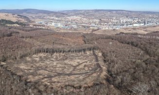 Petiție către autoritățile din Cluj pentru pădurea Hoia-Baciu, arie naturală protejată / O veste bună: S-au anulat autorizații de construire sub pădure
