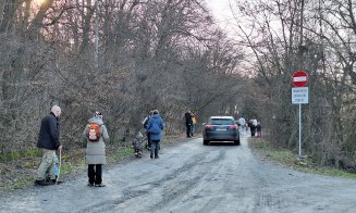 Petiție către autoritățile din Cluj pentru pădurea Hoia-Baciu, arie naturală protejată / S-au anulat autorizații de construire sub pădure