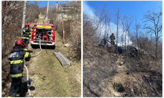 Incendiu puternic la o cabană din Cluj-Napoca. Flăcările s-au extins și la vegetația uscată