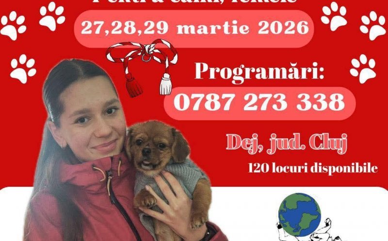 Campanie de sterilizări gratuite, la Dej