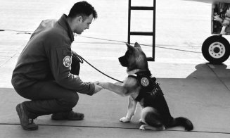 Un pilot militar A MURIT marți la o bază aeriană. Intervenise pentru a salva un câine căzut într-un bazin de apă