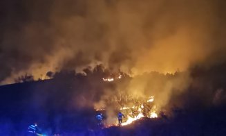 Rădaia, Coplean, Aghireșu-Fabrici, Muntele Săcelului și Calea Dezmirului din Cluj-Napoca au deschis "sezonul" INCENDIILOR DE VEGETAȚIE în județ