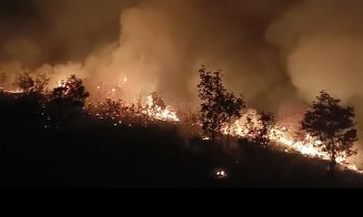 Rădaia, Coplean, Aghireșu-Fabrici, Muntele Săcelului și Calea Dezmirului din Cluj-Napoca au deschis "sezonul" INCENDIILOR DE VEGETAȚIE în ju