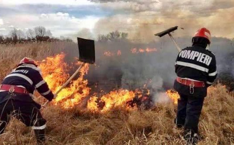 Prefectura Cluj avertizează: Arderea vegetației uscate este INTERZISĂ