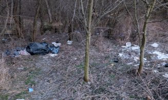 O adunătură de “neam prost” / Deșeurile abandonate din pădurea Făget afectează biodiversitatea